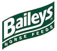 baileystrans